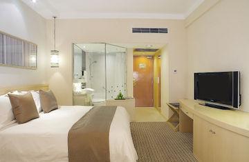 Downtown Hotel 4*